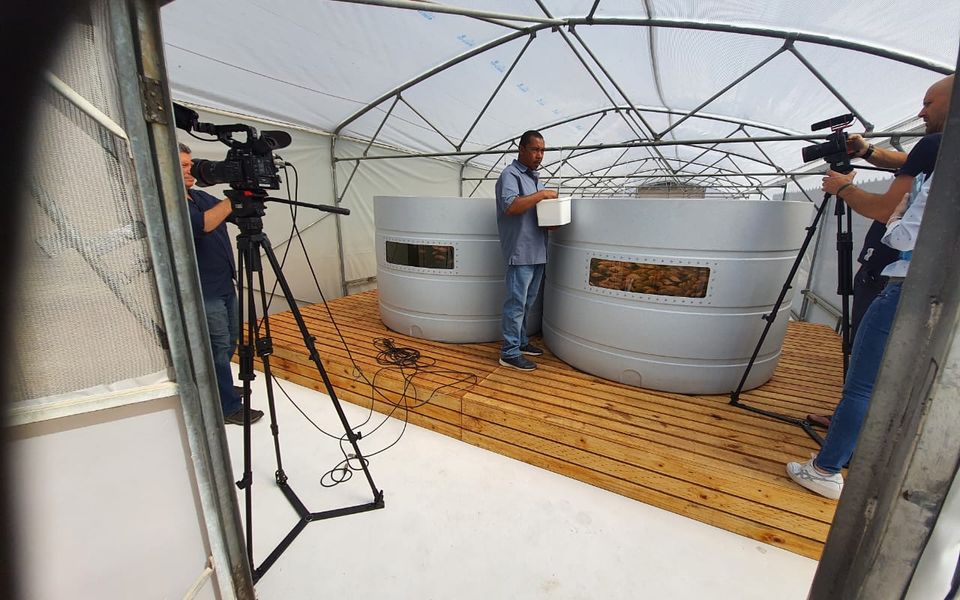 Eduponics aquaponics tanks in a growing tunnel, being filmed